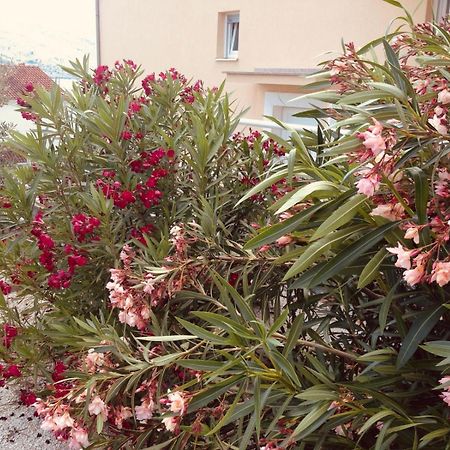 Appartamento House Agradable Seget Vranjica Esterno foto