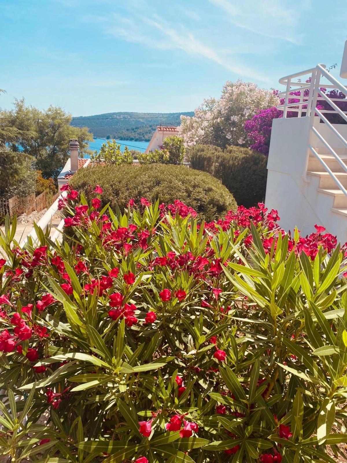Appartamento House Agradable Seget Vranjica Esterno foto