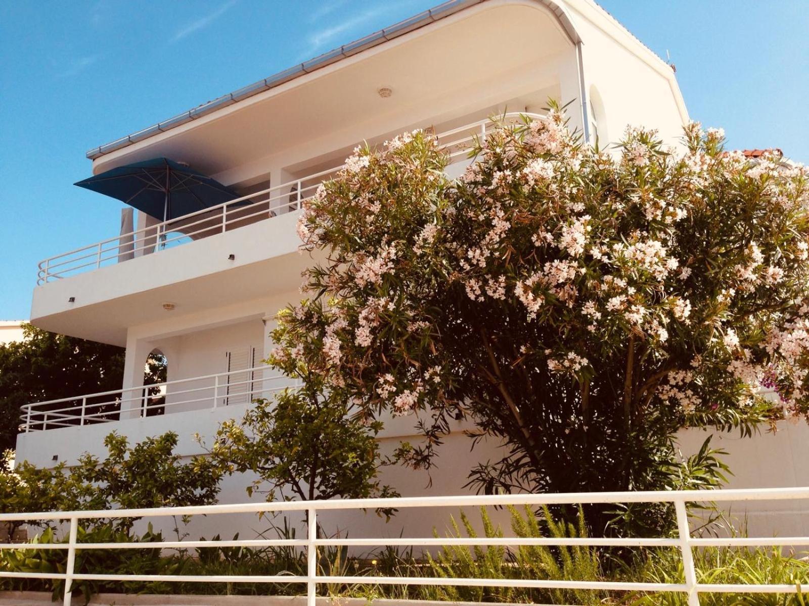 Appartamento House Agradable Seget Vranjica Esterno foto